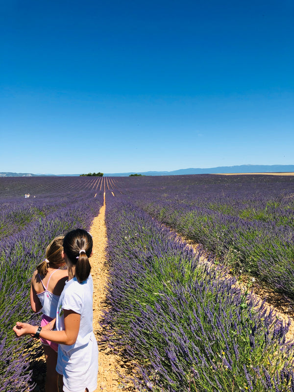 enfant dans champs de lavande et ciel très bleu