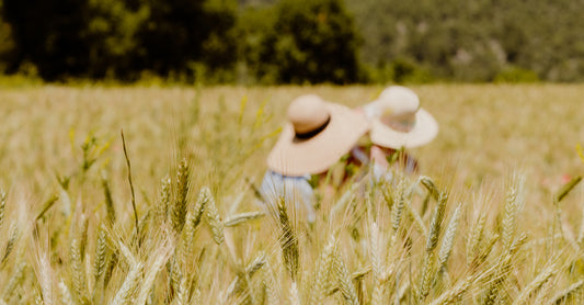 Nos soins biologiques fabriqués en Provence